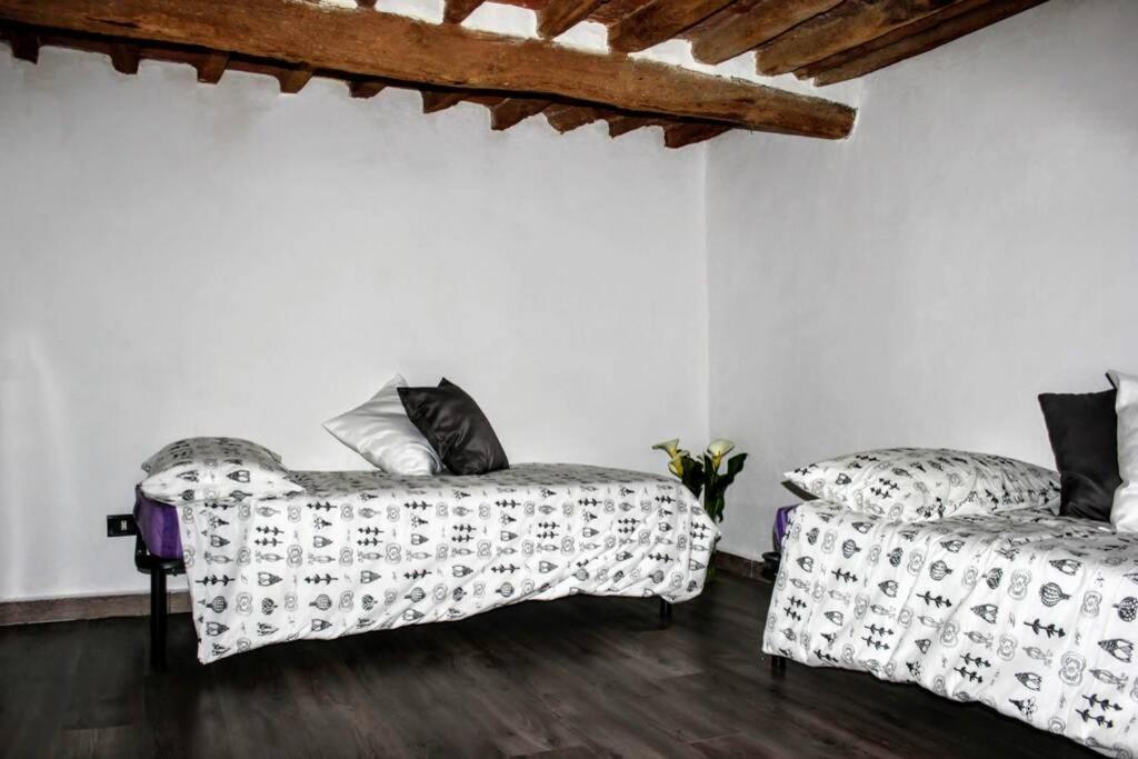 Panoramic And Beautiful House 4Km From The Sea. Villa Rosignano Marittimo Luaran gambar
