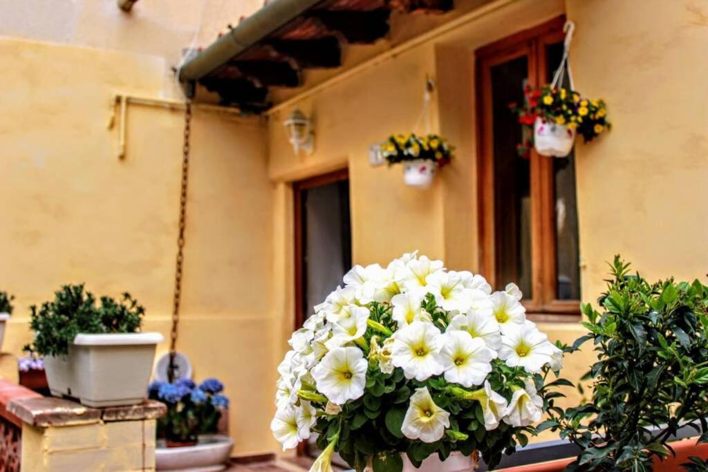 Panoramic And Beautiful House 4Km From The Sea. Villa Rosignano Marittimo Luaran gambar